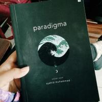 book-review-paradigma-by-eleftheriawords