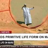 bisakah-manusia-menumbuhkan-tanaman-di-planet-mars