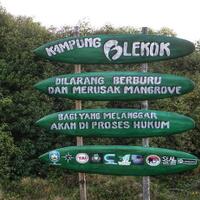 indahnya-wisata-alam-kampung-blekok-di-situbondo