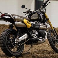 bergaya-scrambler-triumph-luncurkan-produk-terbaru-seharga-fortuner-srz