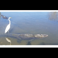 koran-koran-gratis-lokal--interlokal---part-2