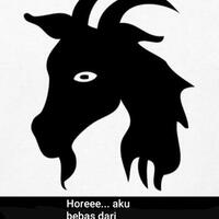 waketum-gerindra-salahkan-jokowi-soal-andi-arief-terjerat-narkoba