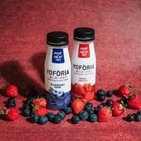 mencicipi-yoforia-yogurt-ini-review-dari-ane-gan