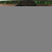 pss-sleman-vs-madura-united-andik-vermansah-baru-sembuh-dari-sakit-diragukan-tampil