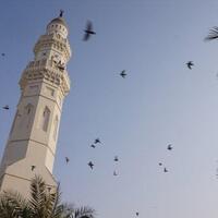 arab-saudi-berlakukan-visa-progresif-bagi-jemaah-sudah-berhaji