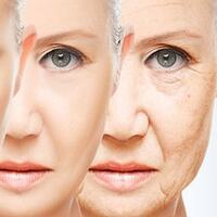 70-persen-kesehatan-di-hari-tua-dipengaruhi-gaya-hidup