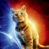 captain-marvel-2019---first-marvel-studios--female-superhero-movie