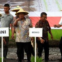 pemprov-dan-pemkab-papua-rebutan-saham-freeport-darmin-biar-aja-deh