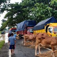 banjir-bikin-jalur-madiun-ngawi-putus-lalulintas-dialihkan-ke-jalan-tol
