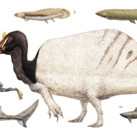 perjalanan-penemuan-dino-setengah-buaya-spinosaurus