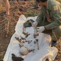 dikira-bola-tengkorak-nenek-di-thailand-ditemukan-setelah-hilang-misterius-8-bulan