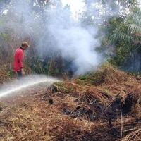 ratusan-ha-kebun-sagu-dan-karet-hangus-akibat-kebakaran-di-kabupaten-meranti
