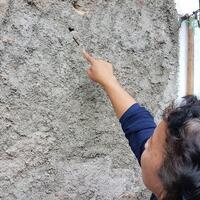 diserbu-ulat-bulu-warga-cimanggis-depok--sampai-berjatuhan-dari-langit-langit-kamar