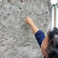 diserbu-ulat-bulu-warga-cimanggis-depok--sampai-berjatuhan-dari-langit-langit-kamar