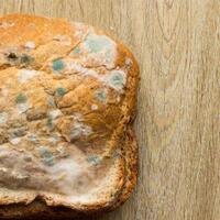 5-makanan-yang-masih-aman-dikonsumsi-meski-sudah-berjamur-simak-cara-mengonsumsinya