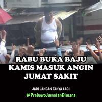 gerindra-gelar-lomba-kucing-mirip-bobby-kucing-imut-peliharaan-prabowo