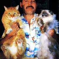 fakta-tentang-kucing-freddie-mercury-yang-nggak-semua-orang-tahu