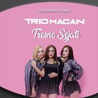 download-lagu-mp3-tresno-sejati-dari-trio-macan-lengkap-dengan-lirik-dan-video-clip