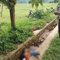 hendak-memasang-bendera-partai-seorang-buruh-tewas-terjatuh-dari-pohon-usai-kesetrum