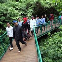 6-hotel-murah-di-dekat-forest-walk-bandung-tarifnya-kurang-dari-rp-300-ribu