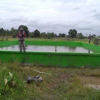 petani-kapuas-manfaatkan-embung-untuk-lahan-rawa