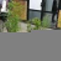 thailand-legalkan-penggunaan-ganja-untuk-medis