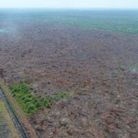 terpantau-dua-hotspot-di-atas-70-persen-di-kabupaten-pelalawan-dan-indragiri-hilir