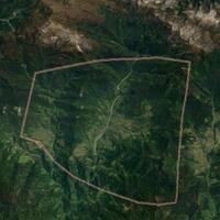 kronologi-baku-tembak-antara-tni-dengan-kelompok-kriminal-bersenjata-di-papua