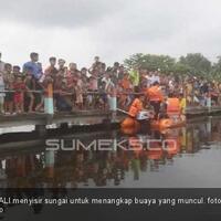 buaya-sepanjang-4-meter-hebohkan-warga-penukal-abab-lematang-ilir