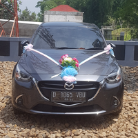 m2unity-komunitas-pengguna-mazda2-di-indonesia----part-2