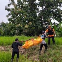 mayat-wanita-muda-berambut-panjang-ditemukan-di-tengah-sawah-purwakarta
