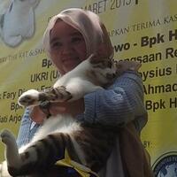 bandi-kucing-juara-lomba-mirip-bobby-the-k4t