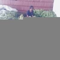 peneliti-anggap-jokowi-dan-prabowo-tak-miliki-komitmen-untuk-pengendalian-tembakau