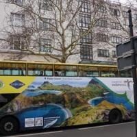 bus-wonderful-indonesia-kini-wara-wiri-di-kota-berlin