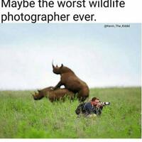begini-potret-keseruan-menjadi-wildlife-photographer