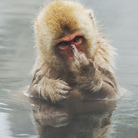 begini-potret-keseruan-menjadi-wildlife-photographer