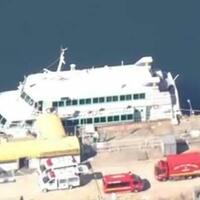 kapal-feri-diduga-tabrak-paus-87-penumpang-cedera-dan-buritan-retak