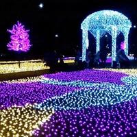 8-destinasi-wisata-instagenic-di-tangerang-ini-cocok-buat-traveler-yang-hobi-foto