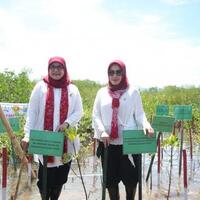 ibu-menpora-dan-ibu-menteri-agama-tanam-5000-pohon-mangrove