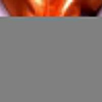 pengangguran-beli-sabu-dari-hasil-penjualan-enam-motor-milik-temannya