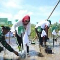 oase-kk-resmikan-gerakan-serentak-penanaman-pohon-mangrove-di-10-provinsi