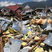 pemkot-palu-ajukan-bantuan-jaminan-hidup-pengungsian-ke-kementrian-sosial