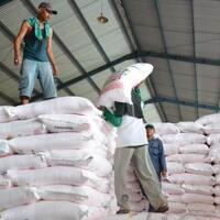 kementan-3-tahun-terakhir-penyerapan-pupuk-organik-bersubsidi-terus-meningkat