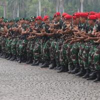 ketua-dpr-desak-panglima-tni-kerahkan-pasukan-tumpas-kksb