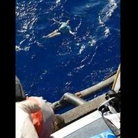 hilang-di-laut-selama-berjam-jam-pria-ini-selamat-karena-bantuan-celana-jin