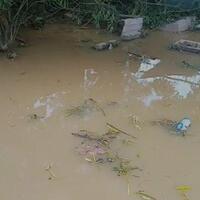 pemakaman-diterjang-banjir-sunaryanto-temukan-jenazah-mertuanya-menyangkut-di-pohon