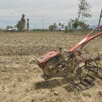 jaringan-irigasi-masih-rusak-pascabencana-pertanian-di-sigi-sulawesi-tengah-lumpuh