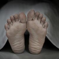 temani-cucu-cari-buah-nenek-ros-tewas-tertimpa-pohon-kelapa-di-tanah-datar-sumbar