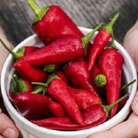 makan-pedas-sebelum-tidur-ternyata-bisa-mengundang-mimpi-buruk