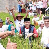 hadiri-panen-raya-di-indramayu-direktur-relawan-tkn-jokowi-pilihan-petani